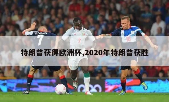 特朗普获得欧洲杯,2020年特朗普获胜